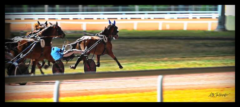 Course de leader à l'hippodrome de Pornichet