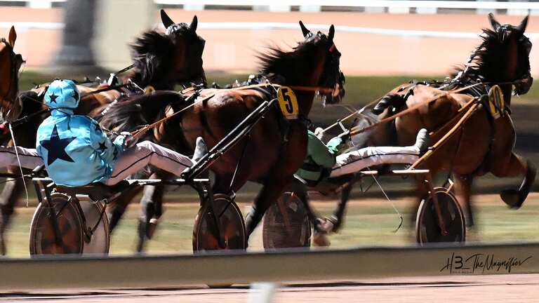 Course hippique hippodrome de Pornichet - nocturne