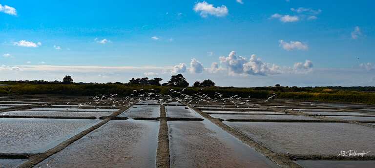 conduits d'acheminement de l'eau de mer vers les oeillets