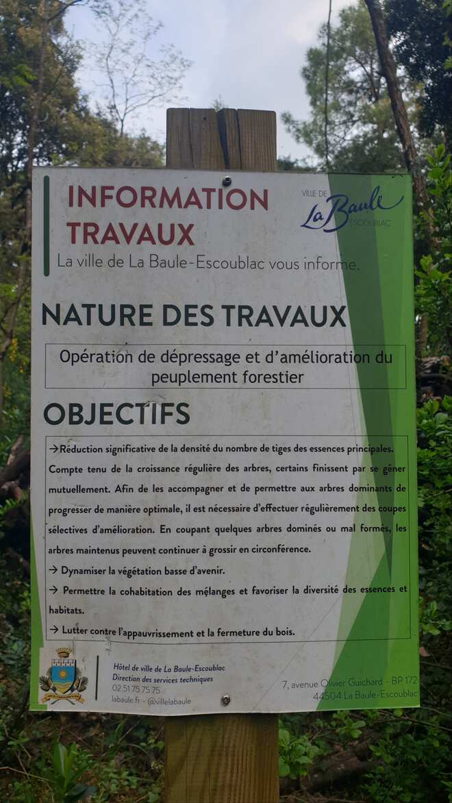 La forêt d'Escoublac et le Bois d'Amour