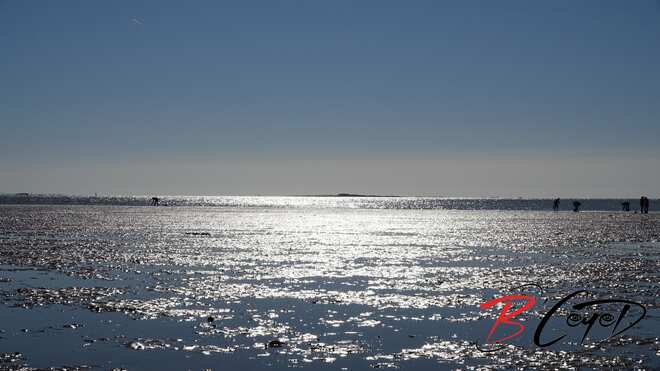 Endroit propice à la pêche aux coques. Mais vous n'êtes assurément pas le premier sur le site. Optimisez ... en changeant de place ...