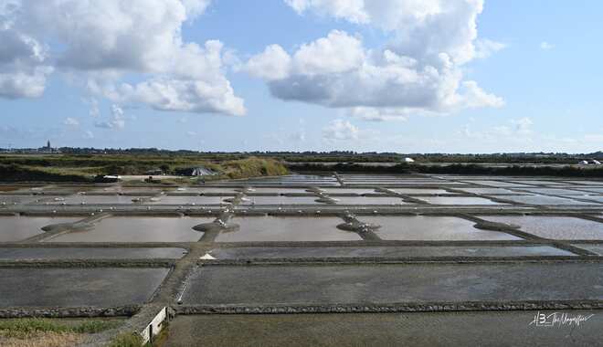 Les marais salants de Guérande - Au pays de l'Or Blanc