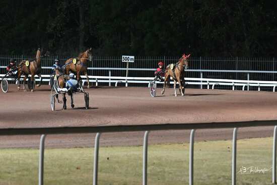 Attente aux 500m - préparation à la course de trot en nocturne à l'hippodrome de Pornichet