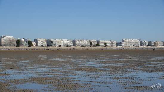Vue inversée depuis la mer au sec mais sous le niveau de la mer - zone de pêche à pied - pêche à la coque