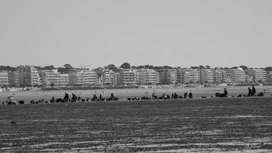 grands coefficients de marée à marée basse - Vue sur la plage de la Baule-Escoublac