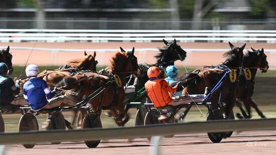 Course de trot à l'hippodrome de Pornichet : nocturne en été