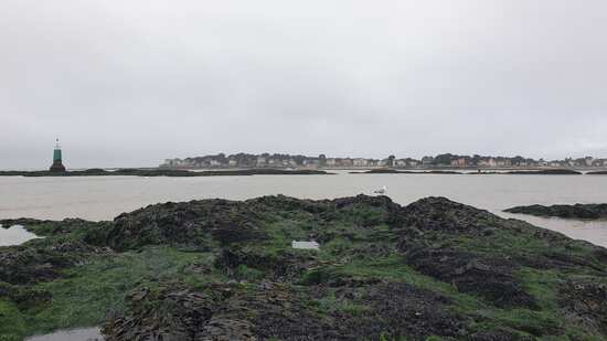 Gisements de moules aux abords immédiats de la sortie du port de La Baule - Le Pouliguen