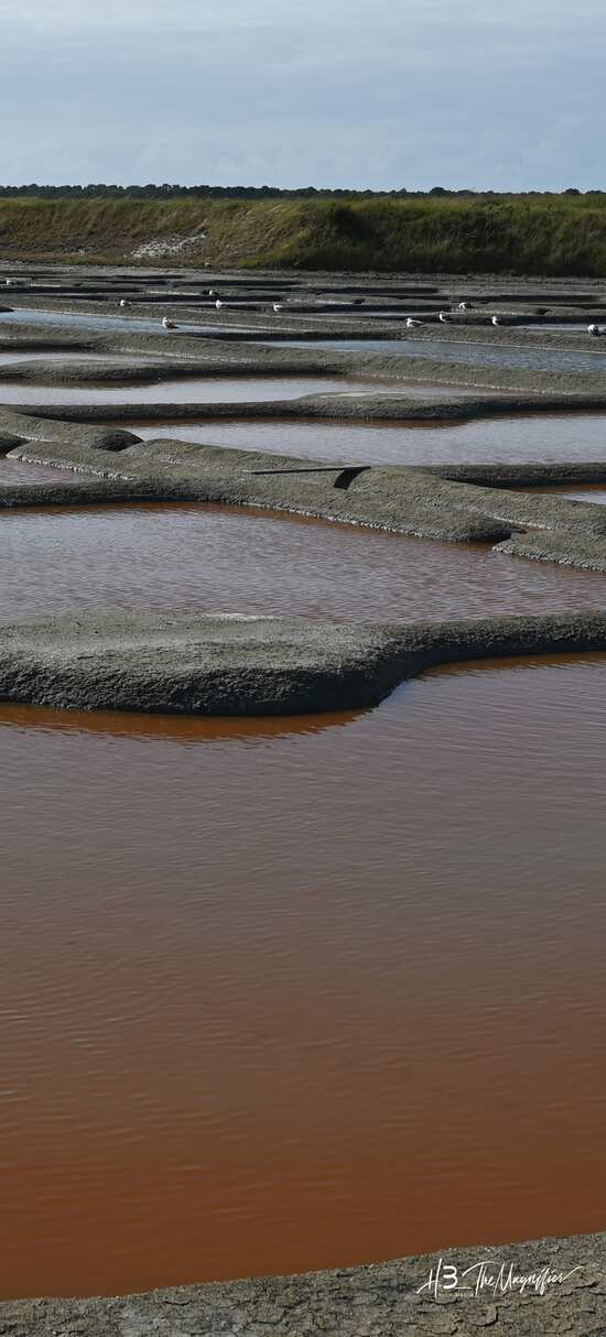 Montée des eaux sur le traict du Croisic - marée montante sur les oeillets