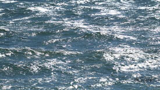 Coup de vent sur le port de la Turballe