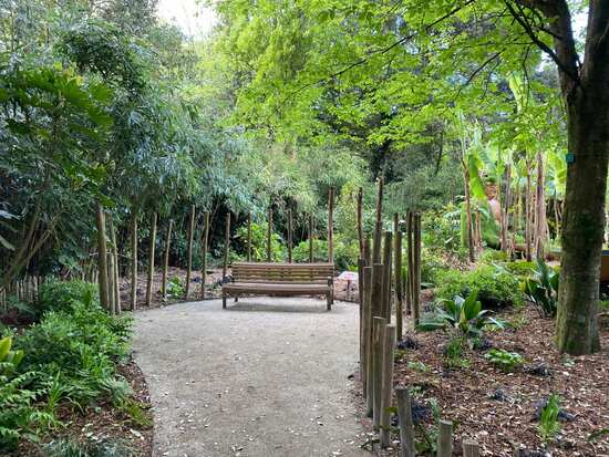 Le parc des Dryades à La Baule : Des bananiers et des bambous