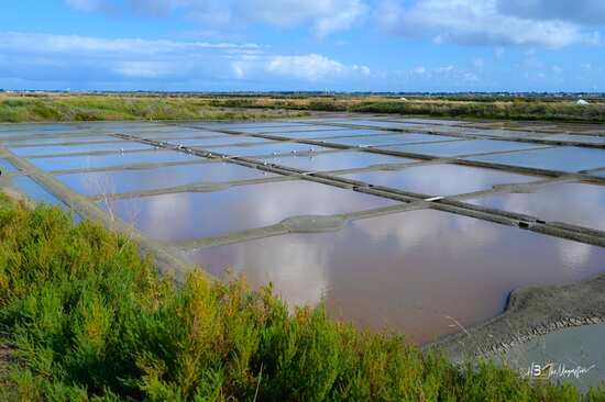 marais salants côté terre