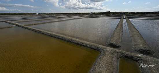 les marais salants sont fragiles et sensibles aux tempêtes
