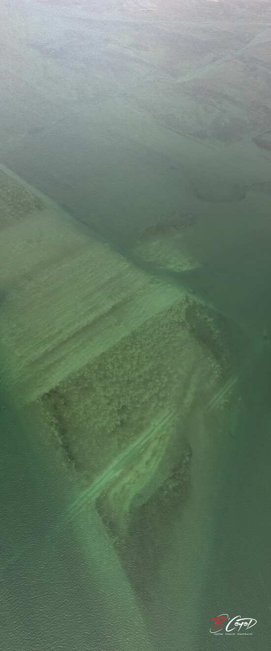 vasiere recouverte d'eau - l'écosystème des marais salanst est très fragile
