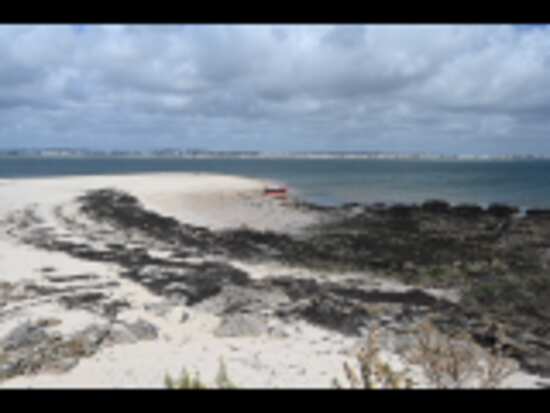 depuis le sommet de l'île des Evens face à la baie de La Baule
