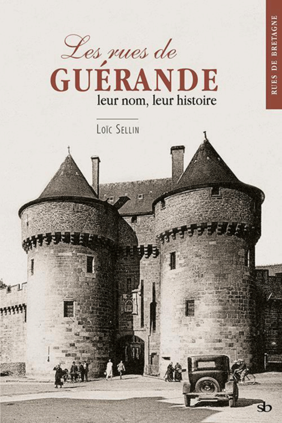 LOIC SELLIN | Livres - Cahiers - Ouvrages - Encyclopedies - Bouquins