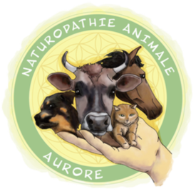 AURORE NATUROPATHIE ANIMALE à Molles | Naturopathie Animale